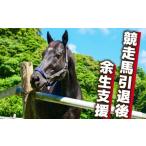 感謝状等 返礼品なし 競走馬 支援 9千円 コース黒潮友馬会…
