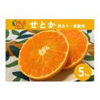 ふるさと納税 果物類 みかん 愛媛県 伊予市 せとか(施設・露地)5kg ご家庭用 訳あり レッスルファーム みかん 愛媛 2026年1月下旬順次発送 先行予約 数量限…