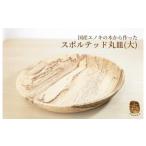 食器 グラス 大皿 エノキのスポルテッド丸皿