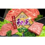 牛肉 全3回定期便 A5等級 黒毛和牛 和王