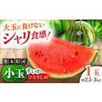 fu.... налог арбуз Kumamoto префектура .. город предшествующий предварительный заказ 2027 год 4 месяц средний ... последовательный отправка ограниченное количество маленький шар ...1 шар входить ( примерно 2.5kg~3kg) в общем фирма . юридическое лицо Classy no...AYAB0...