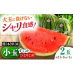 fu.... налог арбуз Kumamoto префектура .. город предшествующий предварительный заказ 2027 год 4 месяц средний ... последовательный отправка ограниченное количество маленький шар ...2 шар входить (1 шар примерно 2.5~3kg) арбуз маленький шар запад . арбуз фрукты полный...