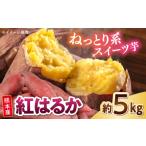 野菜類 サツマイモ 紅はるか 秀品 約5kg
