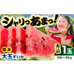 fu.... налог арбуз Kumamoto префектура .. город . мир 8 год Kumamoto земля ... поддержка предшествующий предварительный заказ 2027 год 5 месяц последняя декада .. отправка превосходящий товар большой шар арбуз 1 шар примерно 6kg~9kg ограниченное количество | арбуз ......
