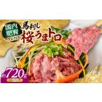 馬肉 令和8年熊本地震復興支援 馬刺し 桜うまトロ