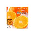ショッピング甘平 ふるさと納税 みかん・柑橘類 愛媛県 八幡浜市  2026年発送 甘平×まどんな「紅プリンセス」と同品種 愛媛果試48号 2kg E25-181 1607364