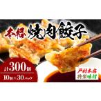 餃子 焼くだけ 焼肉餃子 10個