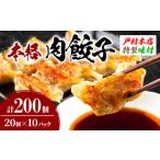 ふるさと納税 餃子 宮崎県 日南市 焼くだけ 簡単調理 本格 肉 餃子 20個 × 10パック 計200個 小分け ぎょうざ ギョーザ 加工品 国産 惣菜 戸村本店 特製餃子 …