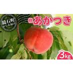 ふるさと納税 もも 福