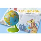玩具 こども環境地球儀 ハトホル 球径20cm
