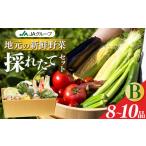 fu.... налог комплект *... Nara префектура .. город сезон. овощи комплект B |ya носорог овощи ... набор комплект ...... комбинация суммировать matome Nara префектура ....