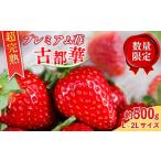 果物の詰合せ いちご 古都華 約500g