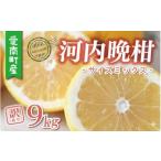 ふるさと納税 みかん�