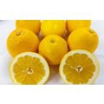 ふるさと納税 みかん�