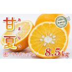 みかん 柑橘類 訳あり 甘夏 8.5kg