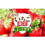 ふるさと納税 いちご 香川県 三木町 香川のいちご満足3回定期便_mk006-t010