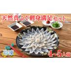 ふるさと納税 フグ 山口県 下関市  2026年3月発送 ふぐ 刺身 満足 セット 4〜5人前 120g 冷凍 ( 鮮魚 魚介 フグ刺し マフグ 国産天然真ふぐ 本場 下関 ふぐ刺…