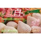 ふるさと納税 いちご 岐阜県 海津市  No.5533-0410 天使のいちご 紅白セット 苺 約400g いちご 詰め合わせ セット 岐阜県 海津市