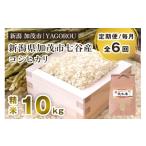 ふるさと納税 米 コシヒカリ 新潟県 加茂市 令和7年産新米先行予約 定期便6ヶ月毎月お届け 新潟県加茂市 七谷産コシヒカリ 精米10kg 《10月中旬〜順次発送》 …
