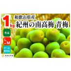 野菜類 青梅 南高梅 約1kg
