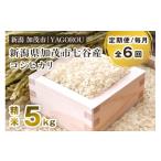 ふるさと納税 米 コシヒカリ 新潟県 加茂市 令和7年産新米先行予約 定期便6ヶ月毎月お届け 新潟県加茂市 七谷産コシヒカリ 精米5kg 《10月中旬〜順次発送》 …
