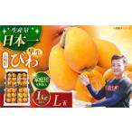 ふるさと納税 果物類 びわ 長崎県 -  先行予約 長崎県産ハウスびわ(早生)1kg L玉24玉 家庭用 長崎県／森保農園 42AACO002 びわ ビワ 枇杷 1キロ 長崎 季節もの…