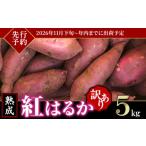 ふるさと納税 野菜類 サツマイモ 茨城県 下妻市  訳あり 茨城県産 熟成さつまいも「 紅はるか 」 5kg 2026年11月下旬頃〜年内までに出荷 さつまいも 紅はるか …