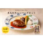 牛肉 ハンバーグ 熨斗対応 浅草今半 黒毛和牛ハンバーグ