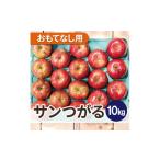 ふるさと納税 りんご 青森県 青森市 平均糖度12度以上 サンつがる 約10kg おもてなし用 クール便 1606543