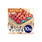 ふるさと納税 りんご 青森県 青森市  2026年9月発送予定 平均糖度12度以上 葉とらずサンつがる 約10kg おもてなし用 クール便 1607022
