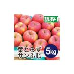 ふるさと納税 りんご 青森県 青森市 2025年11月発送予定 平均糖度13度以上 葉とらずサンふじ 約5kg 訳あり 1607469