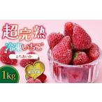 いちご 冷凍いちご 完熟とちあいか 1kg