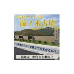 入場券 優待券 専用ガイド付 藤ノ木古墳を