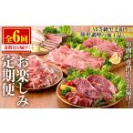 ふるさと納税 牛肉 セット 鹿児島県 日置市 No.1246 定期便・全6回(奇数月) お楽しみ 大人気の返礼品定期便 お試しコース(総重量5kg以上・ステーキ、霜降り焼…