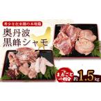 鶏肉 セット 朝じめ本地鶏 京都奥丹波が育む