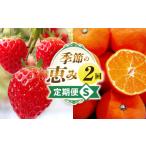 果物の詰合せ 季節の恵み2回定期便S 果物