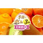 果物の詰合せ 季節の恵み3回定期便H 果物