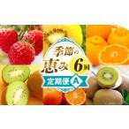 果物の詰合せ 季節の恵み6回定期便A 果物