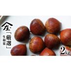 fu.... налог фрукты вид каштан Ibaraki префектура Tsukuba ... город тщательно отобранный сырой мир каштан 2kg. 7 сельское хозяйство . каштан фруктовое дерево сырой каштан каштан рис . кожа .... марон глясе фрукты Ibaraki префектура мир каштан 