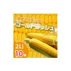 とうもろこし 2027年発送 富良野産 イエローとうもろこし