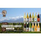 ワイン 赤ワイン 6ヵ月定期便 野生酵母ワイン
