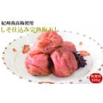 加工品等 梅干 紀州南高梅使用 しそ仕込み完熟梅干し
