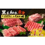 牛肉 セット 赤身肉の4か月定期便 黒毛和牛