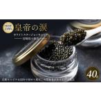 魚貝類 キャビア 純 ホワイトスタージョンキャビア 40g