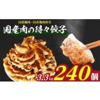 ふるさと納税 餃子 山口県 下関市 訳あり 国産肉の得々餃子 240個 20個×12パック 冷凍 小分け 日指定可 たれ付き 大容量 ぎょうざ ギョウザ ギョーザ 国産肉…