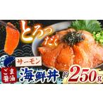 ふるさと納税 魚貝類 サーモン 熊本県 和水町 