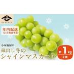 ふるさと納税 ぶどう マスカット 長野県 小布施町 蔵出し冬のシャインマスカット 約1kg 2房 年内配送 ［小布施屋 ］長野県 ぶどう フルーツ 果物 冷蔵便 クー…