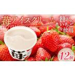 苺アイスクリーム110ml×12個 アイスクリーム
