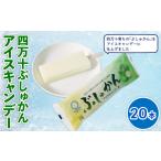菓子 アイス 四万十 ぶしゅかん アイスキャンデー