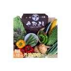 野菜 京野菜の京都やおよし 丹波野菜 詰め合わせ